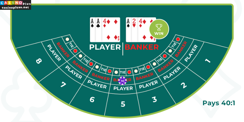 Baccarat Table Layout